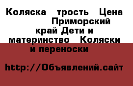 Коляска - трость › Цена ­ 2 000 - Приморский край Дети и материнство » Коляски и переноски   